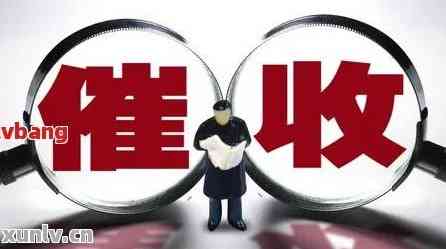 最新催收政策解析，理解变革，应对挑战的挑战