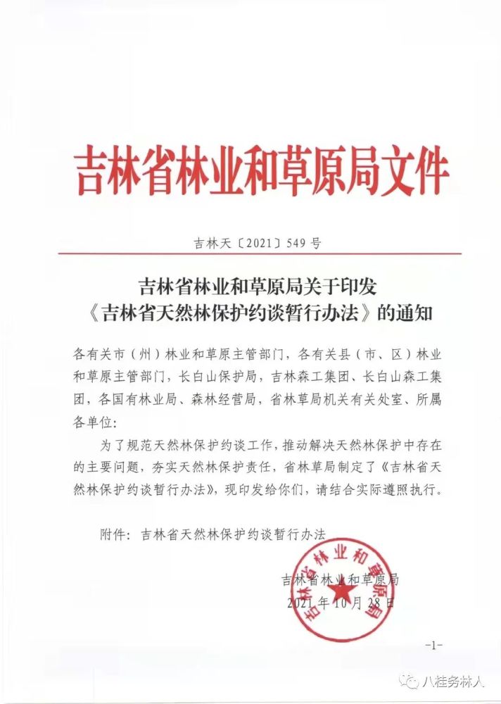 林业厅发布最新通知，推动绿色转型，共建生态文明未来