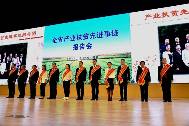 庄长兴最新职位及求职晋升指南
