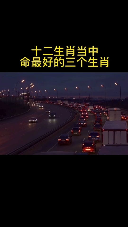 2024十二生肖49个码,动态解读分析_体验版21.568