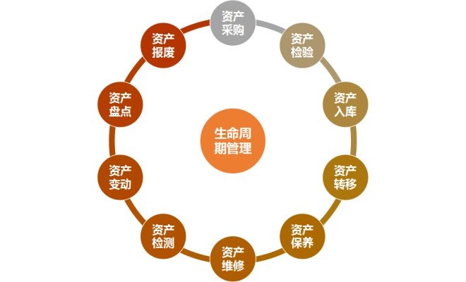 三肖必中三期必出资料,即时解答解析分析_晴朗版58.820