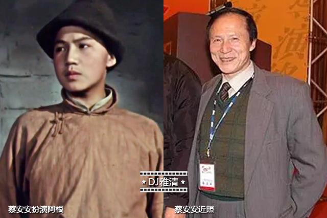 新澳门三期内必开一肖93爆特,实地验证研究方案_活动版95.134